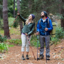 2x kijki trekkingowe do chodzenia Nordic Walking regulowane niebieskie