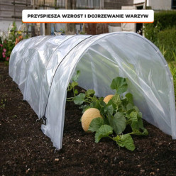 Garden polytunnel for growing 300 x 45 x 30 cm transparent