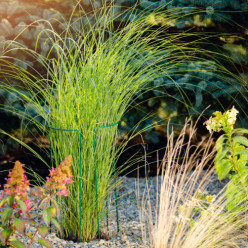 Podpora metalowa do kwiatów roślin ogrodowych trzyczęściowa pergola 60 cm