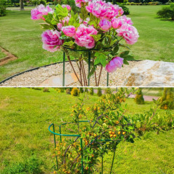 Fém növénytámogatás kerti virágok három darab pergola 60 cm
