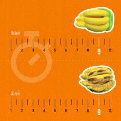 Worki torebki foliowe do przechowywania żywności zestaw 20 sztuk