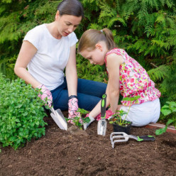 Zestaw narzędzi ogrodowych 8 el łopatka grabki widełki rękawice + organizer