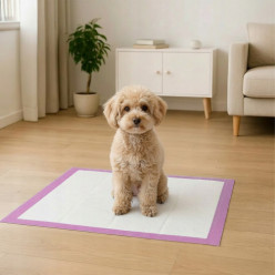 Podkłady higieniczne dla psa kota do nauki sikania 40x60cm grube 50 szt