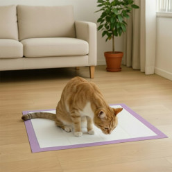 Hygienické tréninky pro záchod psů 40x60cm tlusté 50 ks