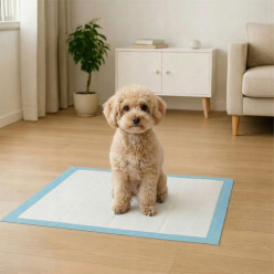 Podkłady higieniczne dla psa kota do nauki sikania 60x60cm grube 50 szt