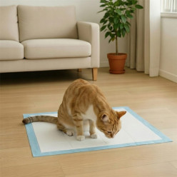 Podkłady higieniczne dla psa kota do nauki sikania 60x60cm grube 50 szt