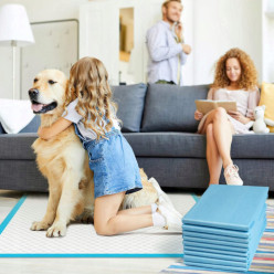 Tapis hygiéniques d'entraînement de toilette absorbants pour chiens 35 x 45 cm 50 pcs