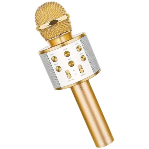 Mikrofon karaoke